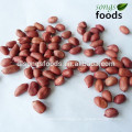 Groundnuts seller